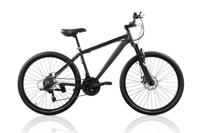 GT Peace Single Speed