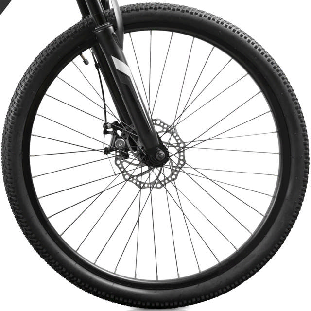 GT Peace Single Speed